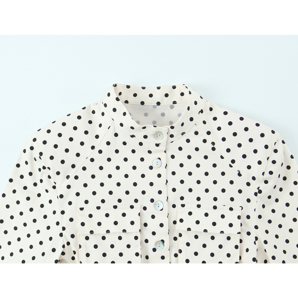 Elegant Chic Fitted Polka Dot  - Matcha recension och pris